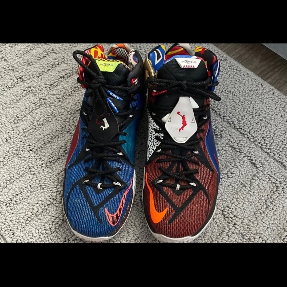 lebron 12 “What the” lebron shoes